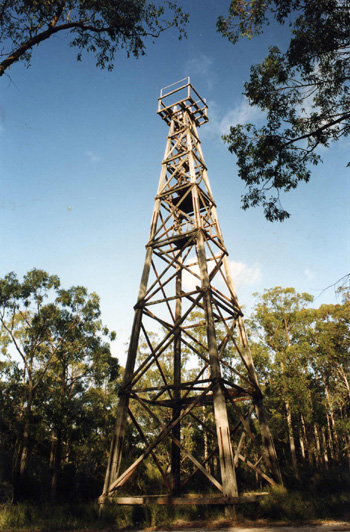 Mullundung / Big Tower